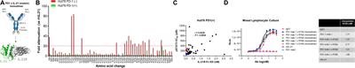 Engineered IL-21 Cytokine Muteins Fused to Anti-PD-1 Antibodies Can Improve CD8+ T Cell Function and Anti-tumor Immunity